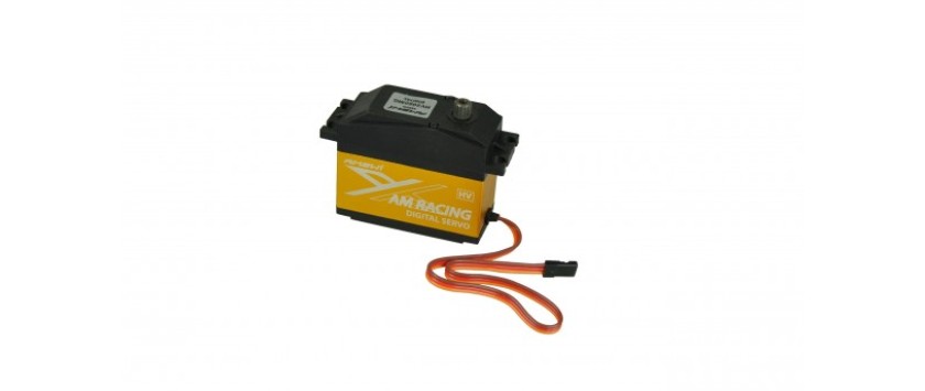 Big Scale Servos