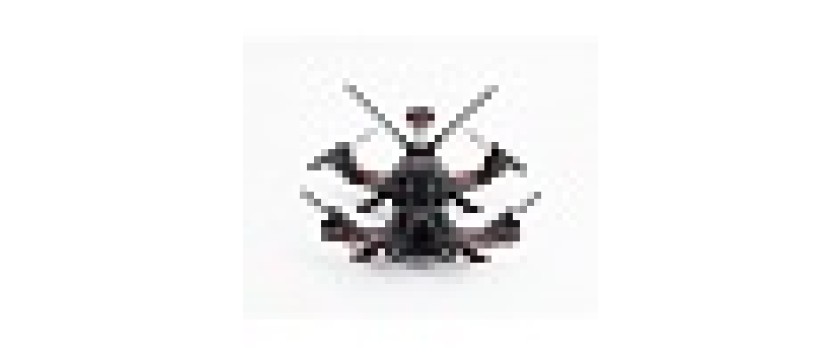 Walkera Runner 250 Pro