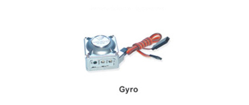 Gyro