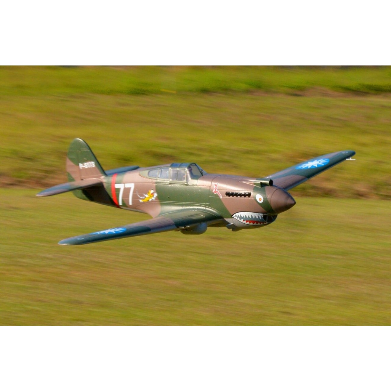 FMS P-40B Curtiss Warhawk Flying Tiger PNP - 140 cm