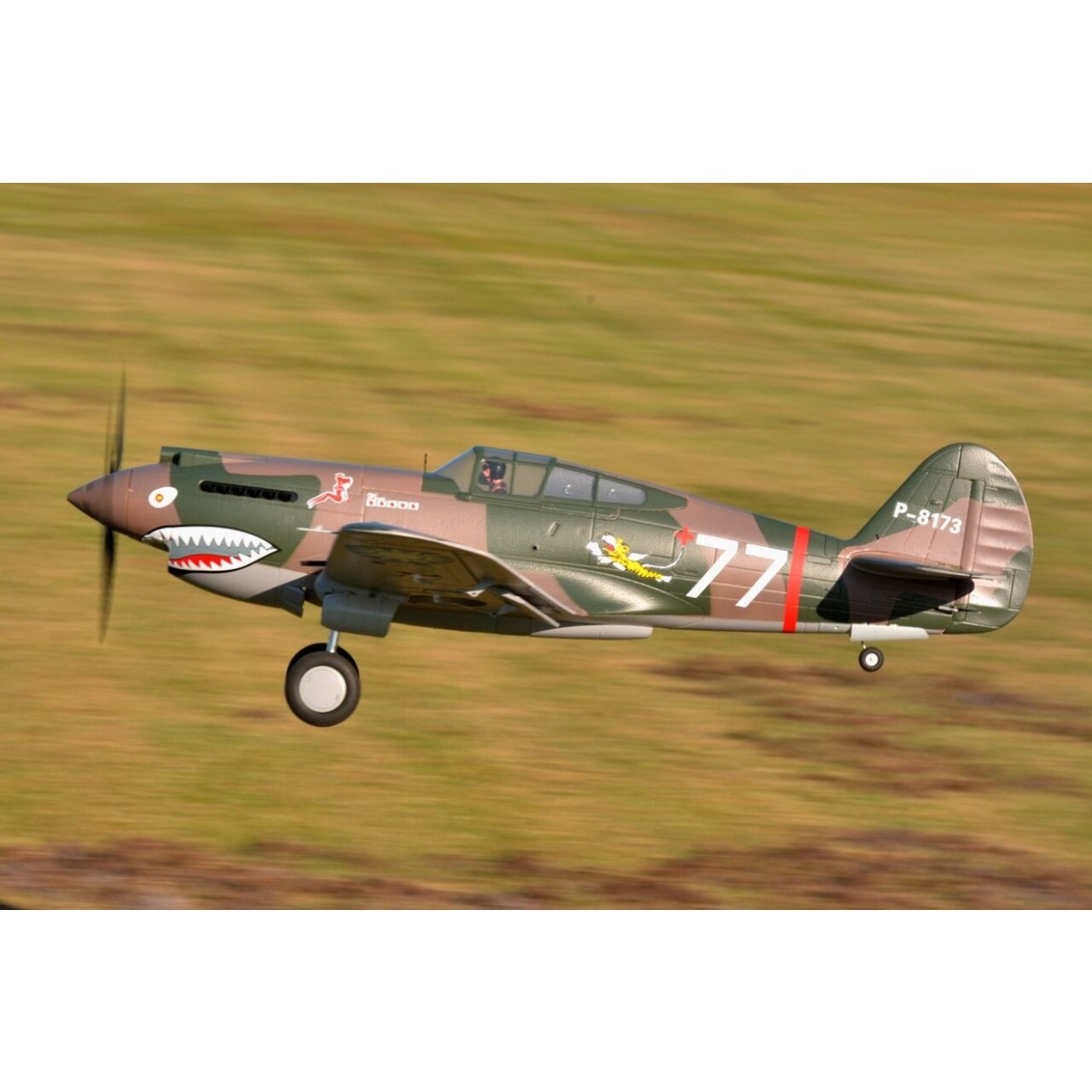 FMS P-40B Curtiss Warhawk Flying Tiger PNP - 140 cm