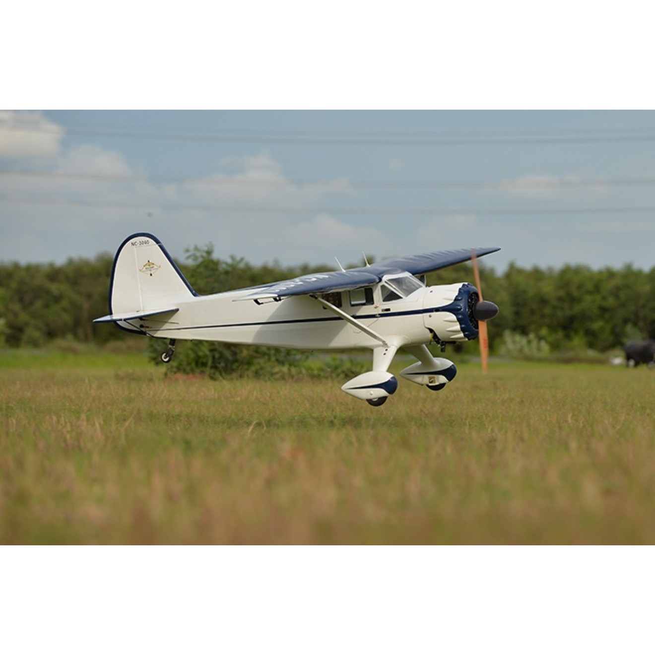 Phoenix Stinson Reliant 35cc - 220 cm