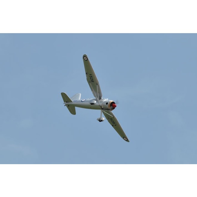 Phoenix Westland Lysander - 190 cm ..