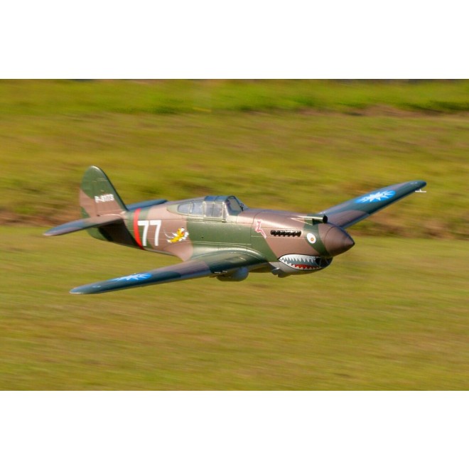FMS P-40B Curtiss Warhawk Flying Tiger PNP - 140 cm