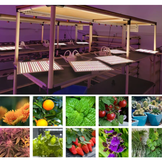 Peralux QDB-JT400 Quantum Board LED Grow Light Panel 400 Watt