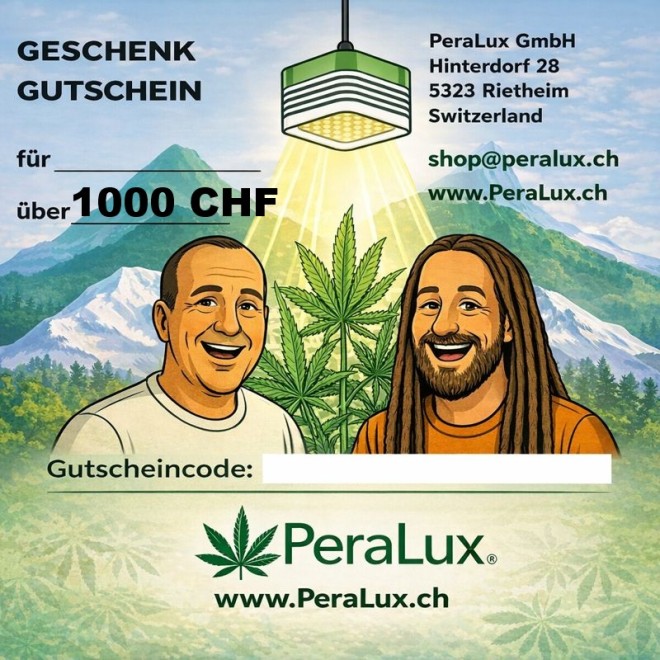 Geschenkgutschein im Wert von 1000 CHF