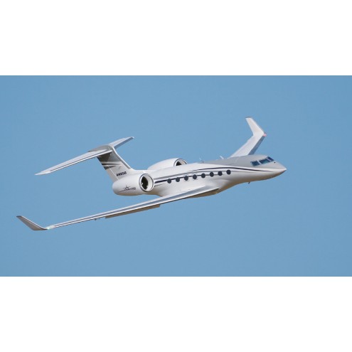 AMXPLANES AM650 BUSINESS-JET 1766MM PNP