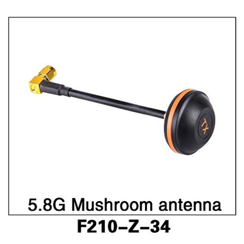 F210-Z-34 5.8G Mushroom antenna