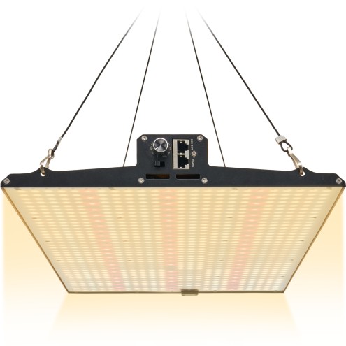 Peralux QB-JT240 Quantum Board LED Grow Light Panel 240Watt Vollspektrum