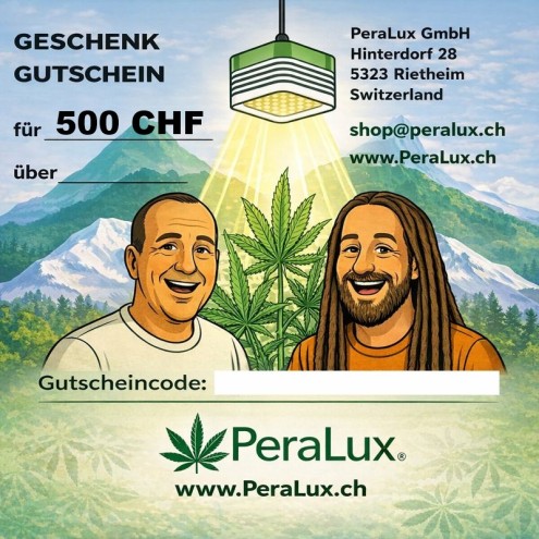 Geschenkgutschein im Wert von 500 CHF